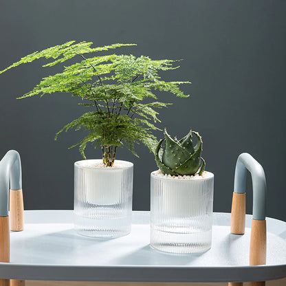 Self-Watering Indoor Plant Pot – Wick Watering System